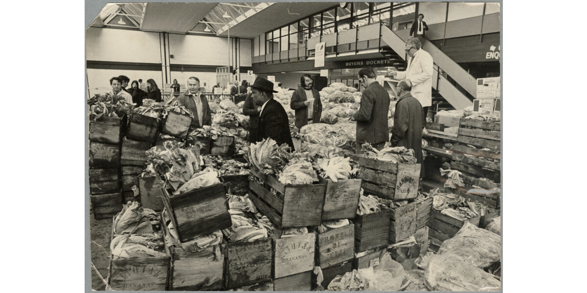 Auction at Turners and Growers discoverywall.nz